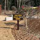 목포해상케이블카 북항 승강장 | 목포해상케이블카 북항승강장에서 고하도전망대 해상데크까지