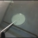 파주자동차유리 이미지