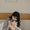 서해동물병원(출장전문) | [공지] [홈스냅] 반려묘와 함께하는 결혼 1주년 기념 내돈내산 촬영 후기