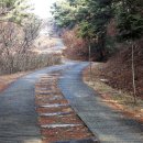 팔공산왕건길 1코스 이미지