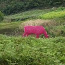 솔향기길 나오리공방 이미지
