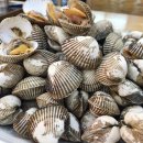 벌교꼬막포차 이미지