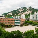 불암고등학교 네이버블로그