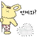 메종드마리