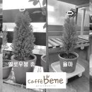 온더그로우