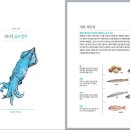 요리교실(초보) 이미지