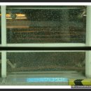 충렬사역 이미지