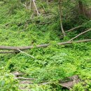 숲뒤농장 이미지