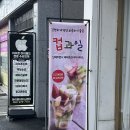 덕진동-14(KT 앞) | 전주컵과일 전북대 덕진동 답례품 과일 단체주문 카페다잉