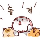 쥬씨 광안쌍용점 이미지