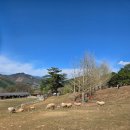 남궁목장 이미지