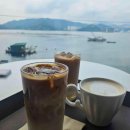 국화애견하우스 이미지