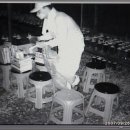 이매난원 Daum카페