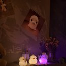 거내실골 | 30대 술집 추천 장소로 손꼽히는 자유의지 홍대점 진정한 힐링을 안겨준 합정 혼술바 후기