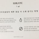 에이치블랑(H.BLANC) 이미지
