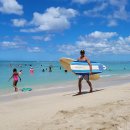 와이키키 이미지