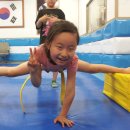 합기도 진중관 이미지