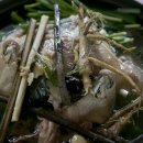 남한산성 백숙거리 이미지