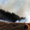 남양3리 이미지