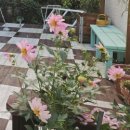 지리산밀드플레 | 지리산밀드플레펜션 가족과 함께한 지리산 힐링여행#지리산밀드플레펜션 #지리산펜션 #지리산여행 #산청...