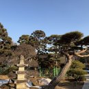 동네장터