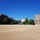 공연초교 이미지