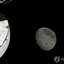 아르테미스 카카오 검색결과
