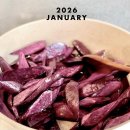 나이스 | 서울미슐랭 비건맛집, 조용한 점심 베이스이즈나이스 후기