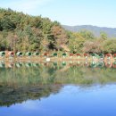 지청낚시터