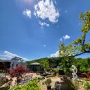 황학산비채숲펜션 이미지