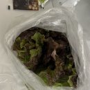 신대방 안가면 후회하는 가성비횟집맛집(찐단골이남기는내돈내산후기)