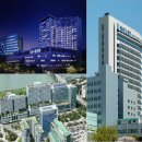 세브란스동물병원 이미지