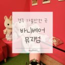 바니베어뮤지엄 | 경주 가볼만한 곳 | 바니베어뮤지엄 후기 | 아이와 가볼만한 곳 · 실내 포토존 추천