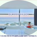 라미아까사플러스 | 강릉 라미아까사풀빌라 후기: 인생 숙소! 강릉여행 호텔추천