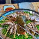 대영흑염소농장 이미지