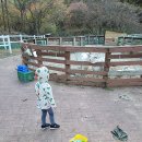 숲속 동키마을 캠핑장 네이버블로그