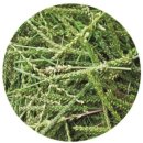 11545-05-15-36 | 차츰차츰(차차나아지겠지)/36차 공구 오픈 ❤️