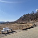 스테이콤마 이미지