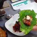 통통장어 이미지