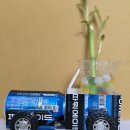 화양연화농장 이미지