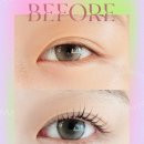 세인자연 이미지