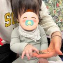 신나는 우리 동요 난타교실 | 🪇내돈내산리뷰👶롯데백화점 잠실점 문화센터 '햇살아이 오감나무' 솔직 후기