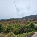 남해-291 이미지