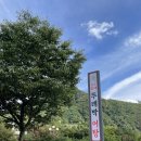 할매수제비 | 대구 팔공산 어탕 수제비 칼국수 단골 맛집 [원조할매뚜레박어탕 본점] 내돈내먹 후기