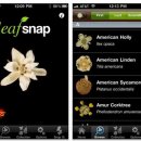 물오름 회원님들 스마트, 아이폰 가지고 계신분들 leafsnap 어플리케이션 다운로드 받으세요. 이미지