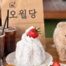 카페오월당