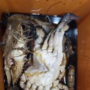 미루다 보면 이미지