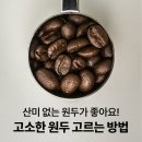 [원두 가이드]고소한 커피 원두 고르는 법과 원두 추천 이미지