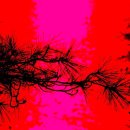 용두돈대 이미지