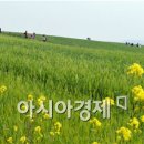 이강수농장 이미지